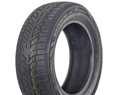 225/45 R18 Doublestar WINTERKING DW08 95H Легкова шина