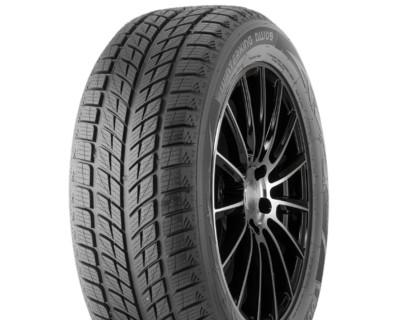 255/50 R20 Doublestar WINTERKING DW09 109H Внедорожная шина