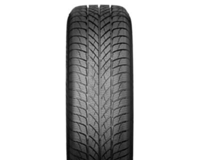 215/50 R17 Paxaro INVERNO 95V Легковая шина