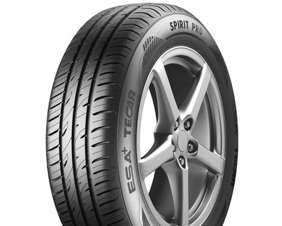 235/35 R19 ESA+ Tecar Spirit Pro 91Y Легковая шина