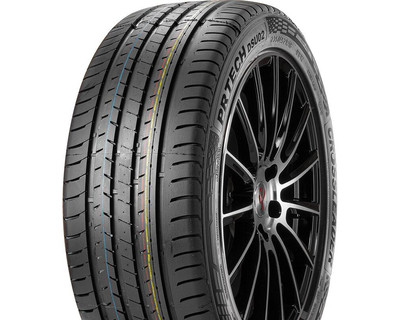 205/50 R17 Doublestar PRTECH DSU02 89V Легкова шина